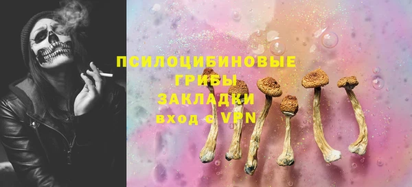 бошки Касимов