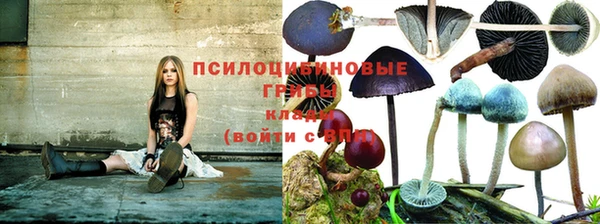 соль ск Карпинск
