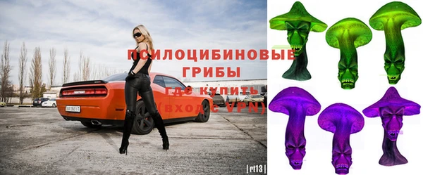 бошки Касимов